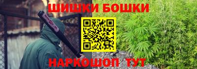 амф Бийск