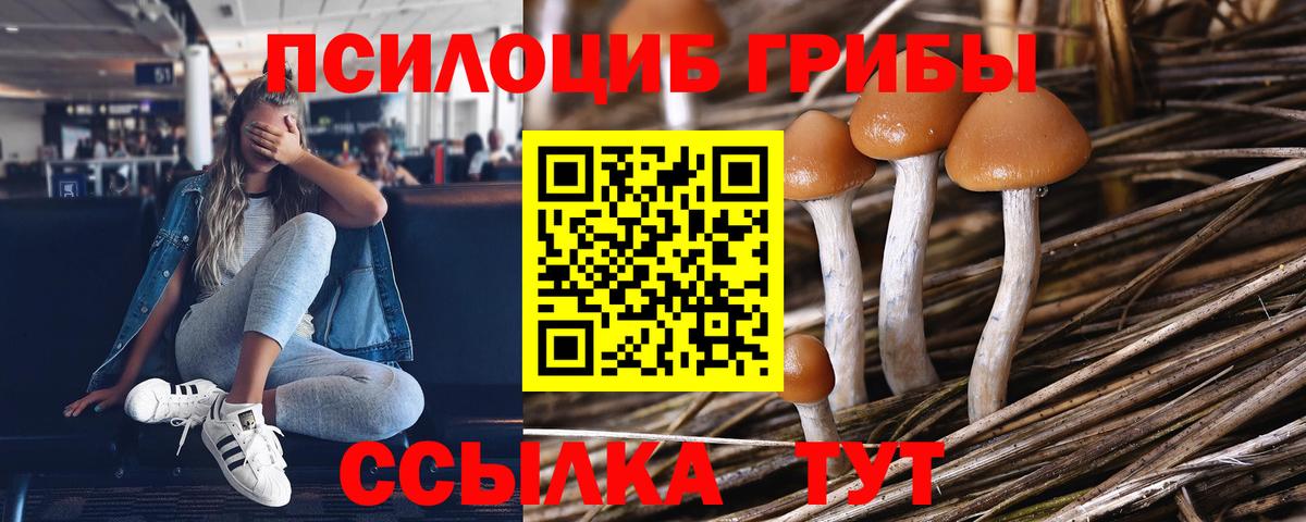 Галлюциногенные грибы Magic Shrooms  Галлюциногенные грибы мухоморы  Верхний Уфалей  Вход с VPN 